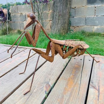 'PRAYING MANTIS' | Daydream Leisure Furniture