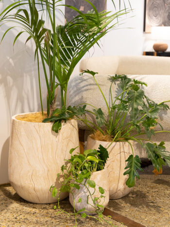 MGO Bower Planter collection displayed in three sizes for indoor styling.