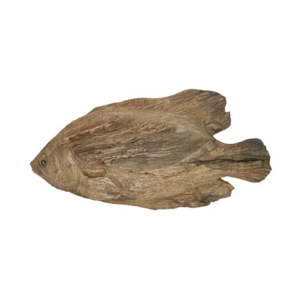 resin wall decor Argyle fish - small statement piece decor displayed for interior styling.