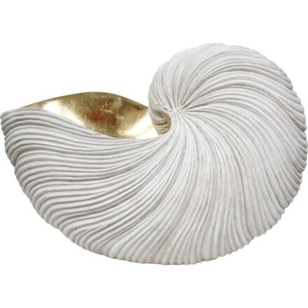 Nautilus Shell Planter XL in Aged White with gold interior on white background